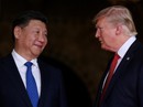 Hỗ trợ công ty Trung Quốc, ông Trump vi phạm hiến pháp? Hỗ trợ công ty Trung Quốc, ông Trump vi phạm hiến pháp?