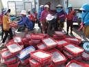 Đã yên tâm với biển miền Trung! Đã yên tâm với biển miền Trung!