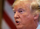 "Săn phù thủy" chuyển hướng sang Ả Rập Saudi, ông Trump nổi giận "Săn phù thủy" chuyển hướng sang Ả Rập Saudi, ông Trump nổi giận