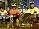 Chống ngập kiểu... "bao cấp" Chống ngập kiểu... "bao cấp"