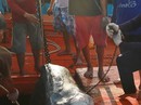Rùng mình theo chân những cao thủ săn cá mập Rùng mình theo chân những cao thủ săn cá mập