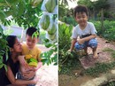 Phát thèm khu vườn sai trĩu quả của diễn viên Lê Phương Phát thèm khu vườn sai trĩu quả của diễn viên Lê Phương