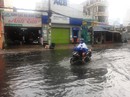 Dừng thi công đại dự án chống ngập Dừng thi công đại dự án chống ngập