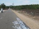 Đất nông nghiệp được rao bán tràn lan tại Phan Thiết Đất nông nghiệp được rao bán tràn lan tại Phan Thiết