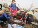 Sướng rơn ở bến cá nơi cửa biển Đề Gi lúc sớm mai Sướng rơn ở bến cá nơi cửa biển Đề Gi lúc sớm mai