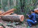 Xâu xé rừng Yók Đôn: Tấn công tứ phía Xâu xé rừng Yók Đôn: Tấn công tứ phía