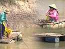 (eMagazine) - Độc đáo qua sông đậm chất miền Tây Nam bộ (eMagazine) - Độc đáo qua sông đậm chất miền Tây Nam bộ