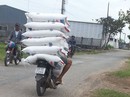 Buôn lậu vẫn nóng ở vùng biên Buôn lậu vẫn nóng ở vùng biên