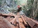 Buông lỏng quản lý, đất rừng bị "xẻ thịt" Buông lỏng quản lý, đất rừng bị "xẻ thịt"