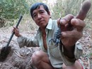 "Khóc thét" với đặc sản có nọc độc vùng Bảy Núi "Khóc thét" với đặc sản có nọc độc vùng Bảy Núi