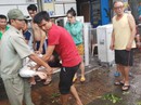 Lốc xoáy nhiều nơi ở Sài Gòn, cây xanh ngã rạp, 3 người trọng thương Lốc xoáy nhiều nơi ở Sài Gòn, cây xanh ngã rạp, 3 người trọng thương