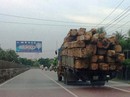 Tiền Giang điều tra và xử lý hàng loạt vụ án tham nhũng Tiền Giang điều tra và xử lý hàng loạt vụ án tham nhũng