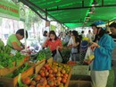 Đổ xô xin tham gia "chuỗi" Đổ xô xin tham gia "chuỗi"