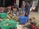 Thực hư về “sầu riêng ăn trả hạt" giá 15.000 đồng/kg Thực hư về “sầu riêng ăn trả hạt" giá 15.000 đồng/kg