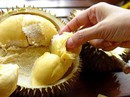 Mùa sầu riêng, ai thích ăn tuyệt đối phải tránh điều này Mùa sầu riêng, ai thích ăn tuyệt đối phải tránh điều này