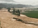 Bơi ra cứu cháu bé, phó bí thư bị nước lũ cuốn trôi tử vong Bơi ra cứu cháu bé, phó bí thư bị nước lũ cuốn trôi tử vong