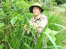 KỶ NIỆM NGÀY THƯƠNG BINH - LIỆT SĨ (27-7) (*): Người lính già vì dân KỶ NIỆM NGÀY THƯƠNG BINH - LIỆT SĨ (27-7) (*): Người lính già vì dân