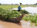 Đỉnh lũ năm 2018 tại ĐBSCL tiềm ẩn nhiều nguy cơ Đỉnh lũ năm 2018 tại ĐBSCL tiềm ẩn nhiều nguy cơ