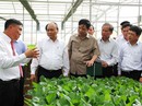 Đầu tư vào nông nghiệp vẫn khó! Đầu tư vào nông nghiệp vẫn khó!
