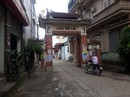 Xanh mặt với những “kỳ án” được dàn dựng Xanh mặt với những “kỳ án” được dàn dựng