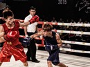 VINA BOXING CUP 2018: Sôi động quyền anh Việt - Hàn VINA BOXING CUP 2018: Sôi động quyền anh Việt - Hàn