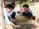 Nuôi nhốt "thủy quái" trên sông kiếm bộn tiền Nuôi nhốt "thủy quái" trên sông kiếm bộn tiền