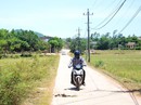 Hoa mắt với phí, quỹ Hoa mắt với phí, quỹ