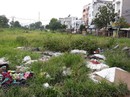 TP HCM: Quận Bình Tân sẽ nâng cấp công viên trong khu dân cư TP HCM: Quận Bình Tân sẽ nâng cấp công viên trong khu dân cư