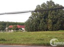 Đất nền Củ Chi sau cơn bão giá Đất nền Củ Chi sau cơn bão giá