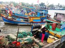TP HCM sẵn sàng di dời dân nếu có bão TP HCM sẵn sàng di dời dân nếu có bão
