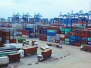 TP HCM chính thức vận hành hải quan tự động TP HCM chính thức vận hành hải quan tự động