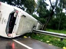 Lật xe khách Thành Bưởi do cây đổ, 31 hành khách hoảng loạn Lật xe khách Thành Bưởi do cây đổ, 31 hành khách hoảng loạn