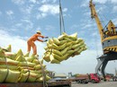 Bộ Công Thương mời doanh nghiệp Trung Quốc vào Việt Nam mua gạo Bộ Công Thương mời doanh nghiệp Trung Quốc vào Việt Nam mua gạo