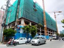 BT là chùm khế ngọt...! BT là chùm khế ngọt...!