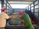Phát hiện 840 kg sụn gà không rõ nguồn gốc Phát hiện 840 kg sụn gà không rõ nguồn gốc
