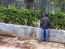 TP HCM muốn công khai tên người tè bậy nơi công cộng TP HCM muốn công khai tên người tè bậy nơi công cộng