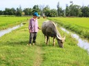 Chấm dứt việc thu phí "lạ" ở Quảng Bình và trả lại tiền cho dân Chấm dứt việc thu phí "lạ" ở Quảng Bình và trả lại tiền cho dân