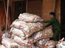 Liên tiếp phát hiện các điểm hóa kiếp nông sản Trung Quốc thành Đà Lạt Liên tiếp phát hiện các điểm hóa kiếp nông sản Trung Quốc thành Đà Lạt