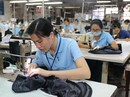 Thanh tra đột xuất doanh nghiệp nợ BHXH Thanh tra đột xuất doanh nghiệp nợ BHXH