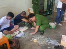 Bắt chủ "đại lý" kinh doanh cỏ Mỹ Bắt chủ "đại lý" kinh doanh cỏ Mỹ