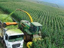 Doanh nghiệp nông nghiệp bức xúc đủ điều Doanh nghiệp nông nghiệp bức xúc đủ điều