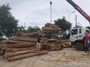 Tàn sát rừng phòng hộ Tàn sát rừng phòng hộ