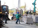 Cắt ngọn Mường Thanh Khánh Hòa Cắt ngọn Mường Thanh Khánh Hòa