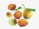 Cơn "sốt" săn mận xách tay có giá gần triệu/kg Cơn "sốt" săn mận xách tay có giá gần triệu/kg
