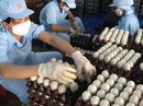 NHÌN TỪ THƯƠNG VỤ BA HUÂN - VINACAPITAL: Doanh nghiệp Việt ra biển lớn bằng thúng chai! NHÌN TỪ THƯƠNG VỤ BA HUÂN - VINACAPITAL: Doanh nghiệp Việt ra biển lớn bằng thúng chai!