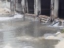 Nước thải đen ngòm lại tuôn ra biển Đà Nẵng lúc trời đang mưa Nước thải đen ngòm lại tuôn ra biển Đà Nẵng lúc trời đang mưa
