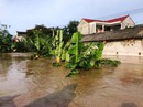 Thanh Hóa, Nghệ An ngổn ngang do mưa lũ Thanh Hóa, Nghệ An ngổn ngang do mưa lũ