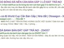 Vỡ nợ bán nhà gấp trên mạng: Coi chừng dính cú lừa của cò Vỡ nợ bán nhà gấp trên mạng: Coi chừng dính cú lừa của cò