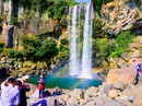 12 trải nghiệm kỳ thú tại đảo Jeju 12 trải nghiệm kỳ thú tại đảo Jeju