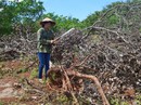 Diễn biến mới liên quan vụ xả súng ở Đắk Nông Diễn biến mới liên quan vụ xả súng ở Đắk Nông